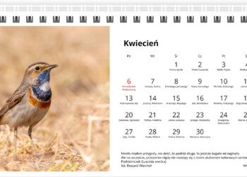 Kalendarz biurkowy 2026 warsztaty fotograficzne krakow warchol ryszard 0004 screenshot 549