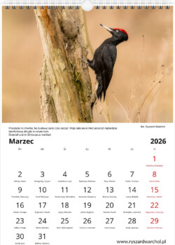 Kalendarz pionowy 2026 warsztaty fotograficzne krakow warchol ryszard 0003 screenshot 493