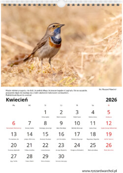 Kalendarz pionowy 2026 warsztaty fotograficzne krakow warchol ryszard 0004 screenshot 494