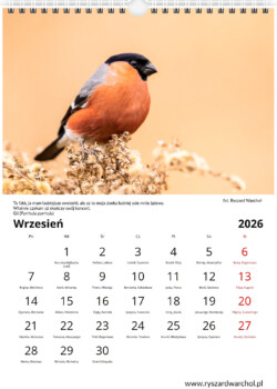 Kalendarz pionowy 2026 warsztaty fotograficzne krakow warchol ryszard 0009 screenshot 499