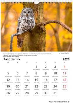 Kalendarz pionowy 2026 warsztaty fotograficzne krakow warchol ryszard 0010 screenshot 500