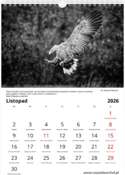 Kalendarz pionowy 2026 warsztaty fotograficzne krakow warchol ryszard 0011 screenshot 501