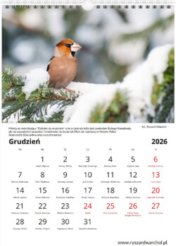 Kalendarz pionowy 2026 warsztaty fotograficzne krakow warchol ryszard 0012 screenshot 502